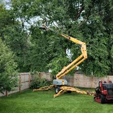 Best Lawn Watering Services  in North Springfield, VA